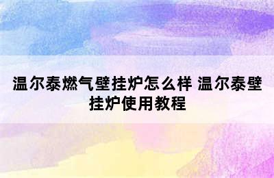 温尔泰燃气壁挂炉怎么样 温尔泰壁挂炉使用教程